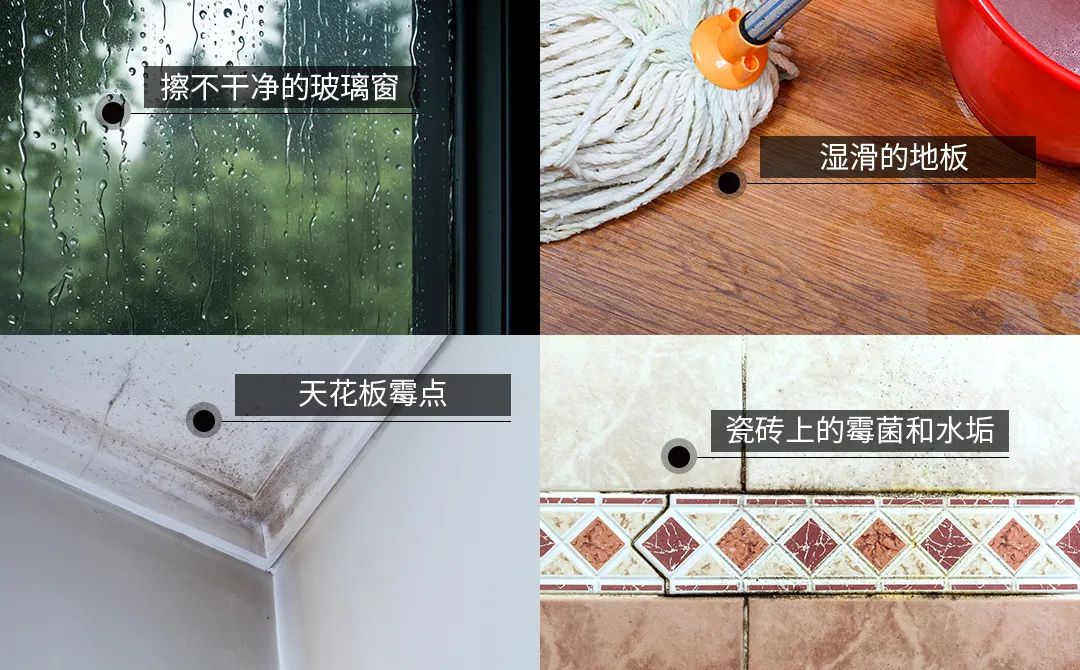 聚鑫汇娱乐官方网站图片